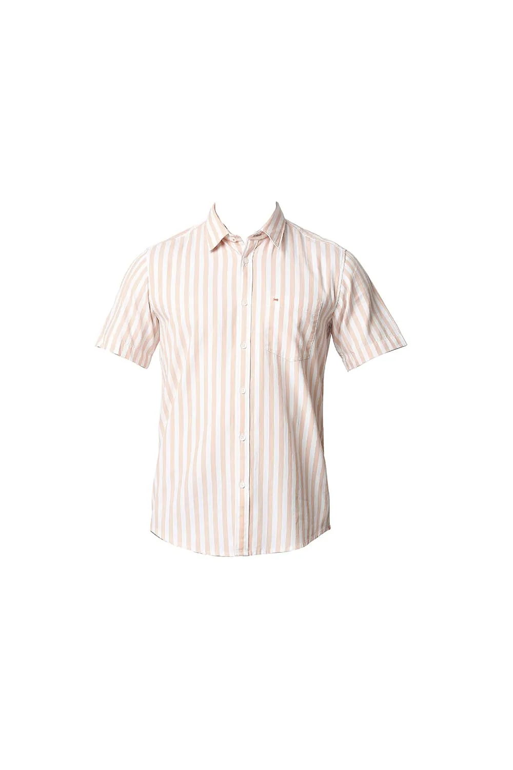 Slim Fit Twill Stripe Halfsleeves Shirt